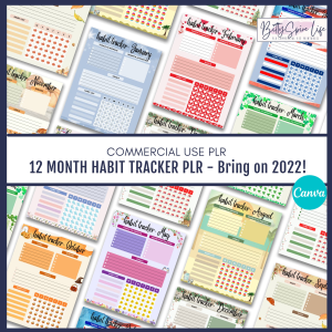 HABIT Tracker Monthly Sheets- Set of 12